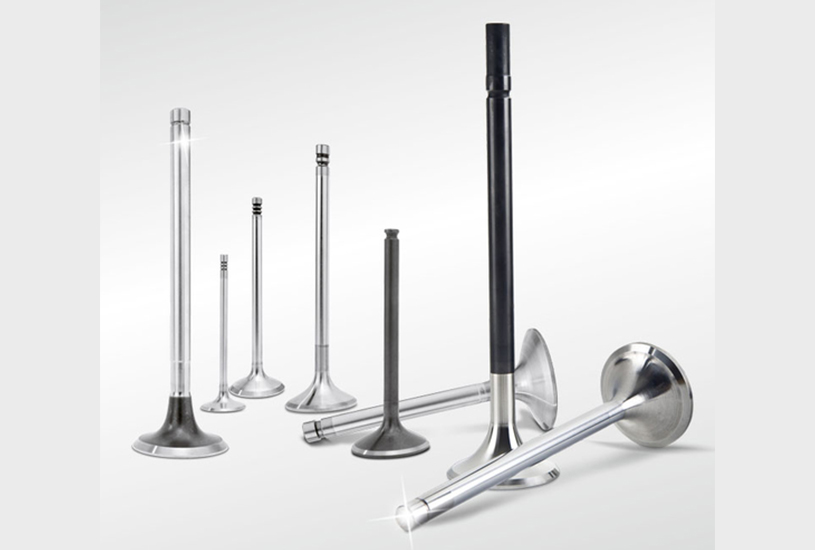 engine valves
